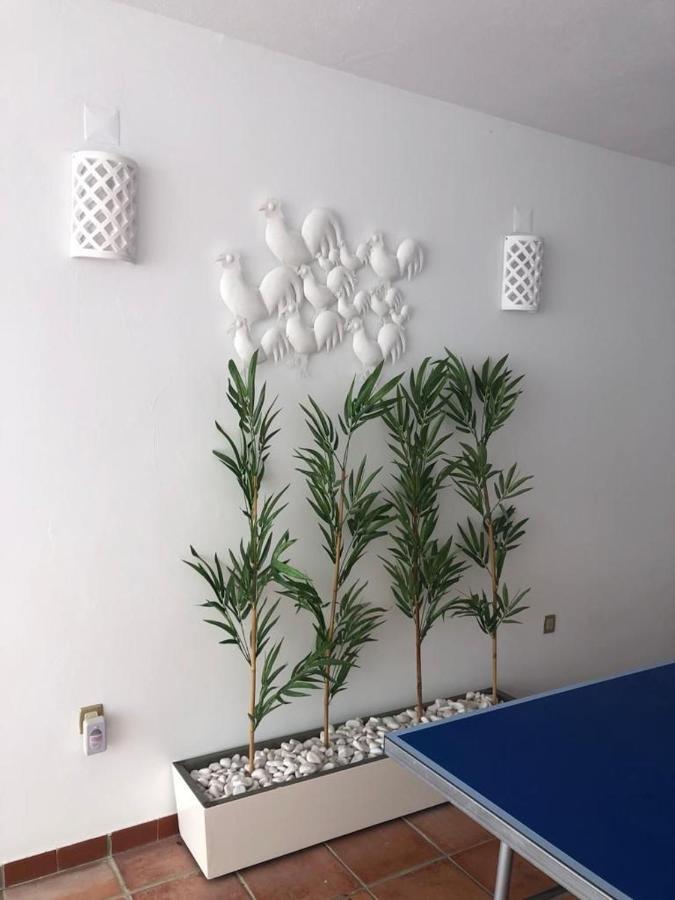 Ofir Beach House Bonanca Esposende Zewnętrze zdjęcie