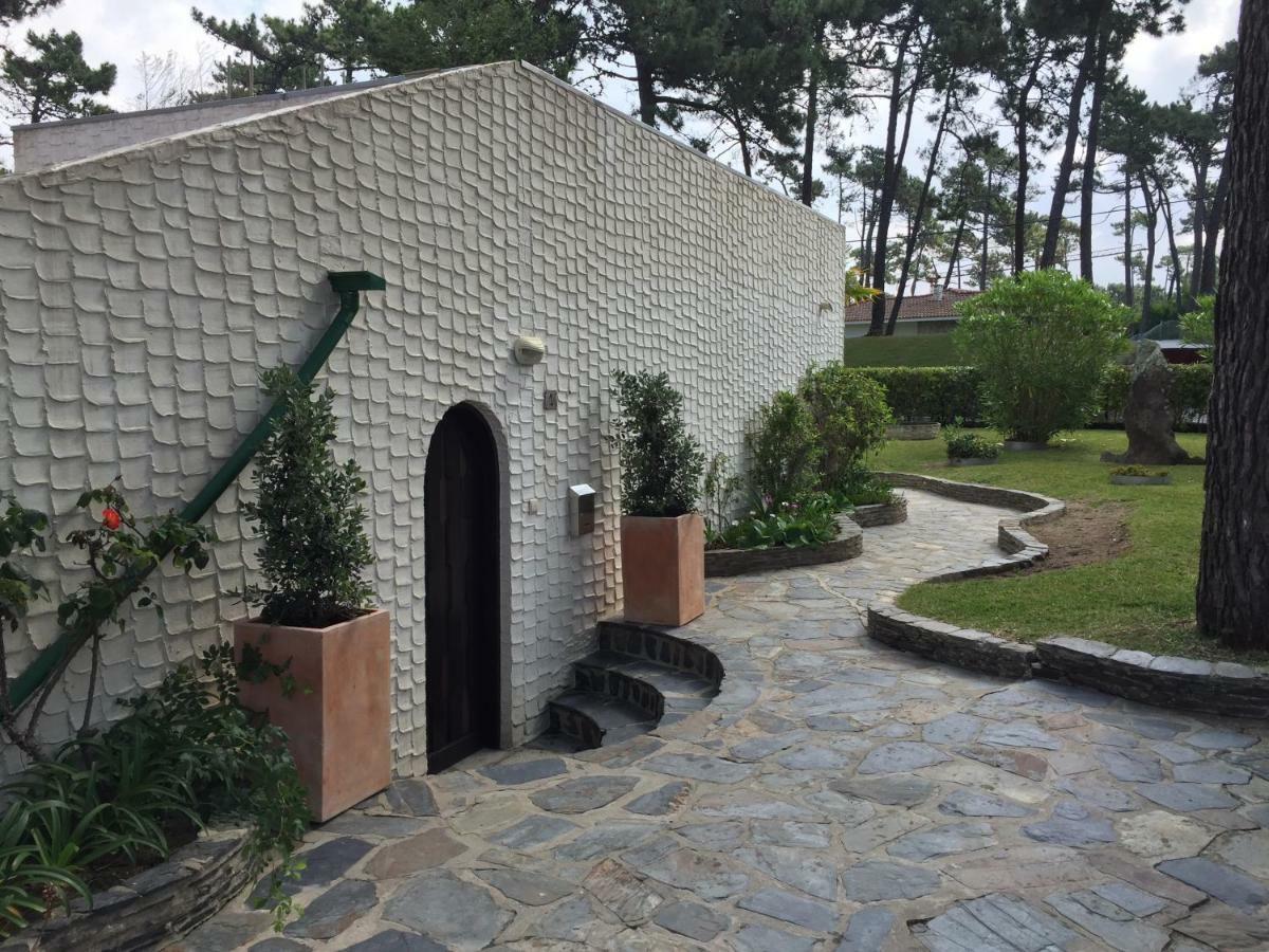Ofir Beach House Bonanca Esposende Zewnętrze zdjęcie