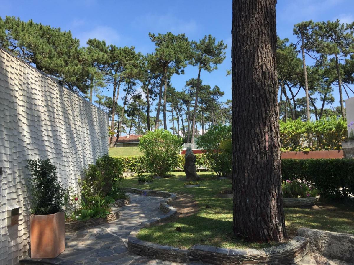 Ofir Beach House Bonanca Esposende Zewnętrze zdjęcie